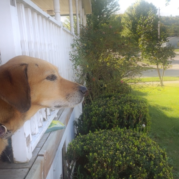 Meet your Posher, Christine - Picture 2 of 6